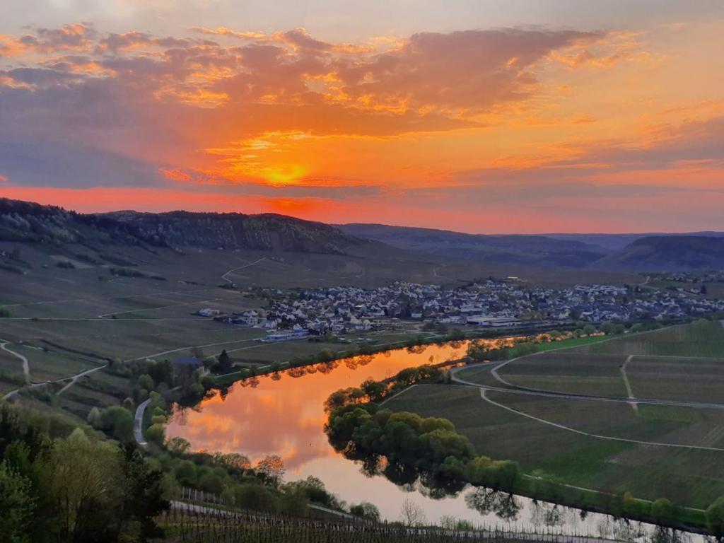 Hotel Herres Alte Metzgerei Leiwen Buitenkant foto