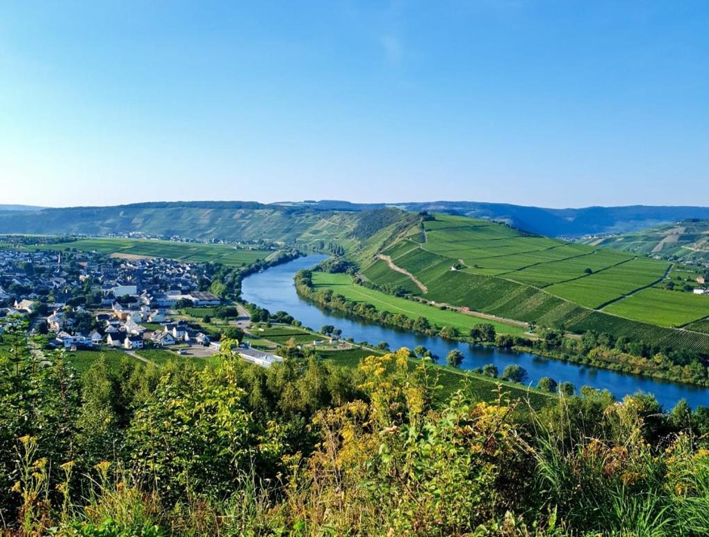 Hotel Herres Alte Metzgerei Leiwen Buitenkant foto